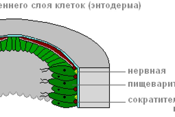 Кракен точка