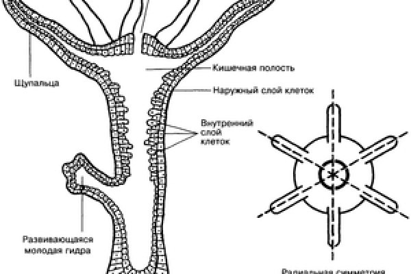 Через какой браузер заходить на кракен